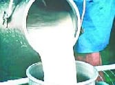 Banks' non-cooperation Dairy Plan has failed